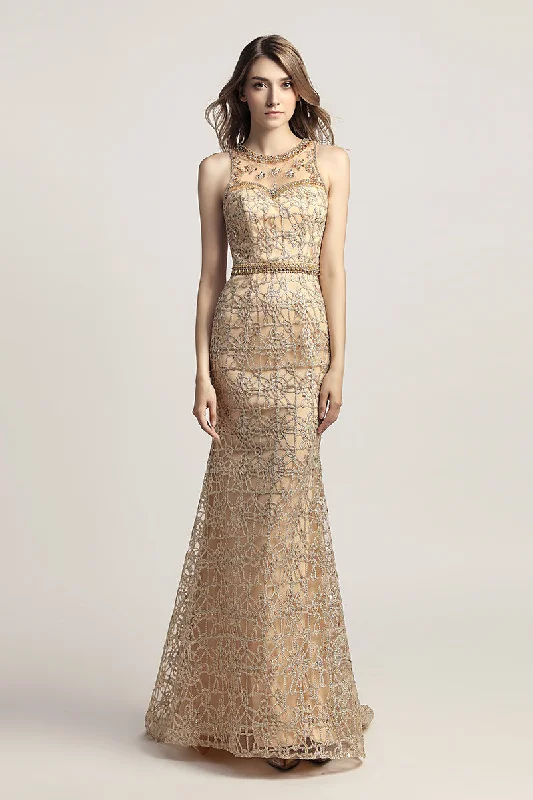 Formal Lace Long Elegant Evening Prom Dress