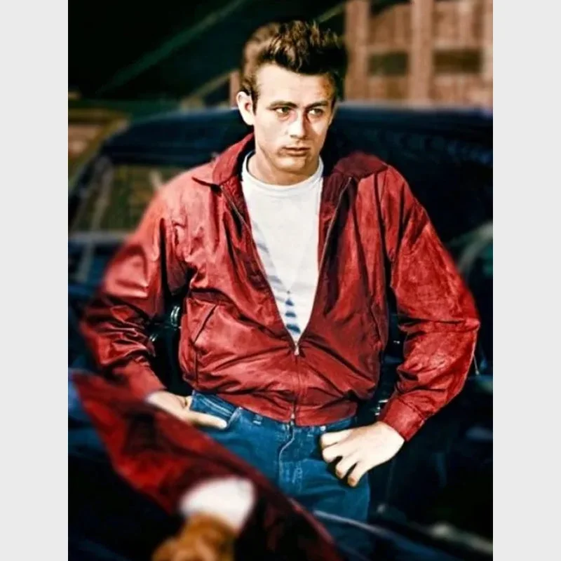 James Dean Rebel Without A Cause Red Jacket Wool Fabric Cashmere Fabric Tweed Fabric James Dean Rebel Without A Cause Red Jacket Wool Fabric Cashmere Fabric Tweed Fabric